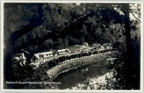 Bad Salzbrunn Bad Salzbrunn Giesshuebl Sauerbrunn * / Polen /