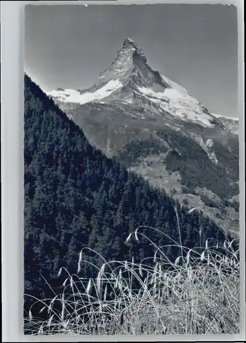 Zermatt VS Zermatt Findeln Matterhorn x / Zermatt /Bz. Visp