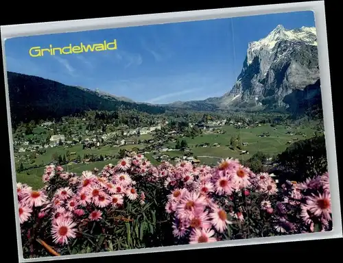Grindelwald Grindelwald Wetterhorn x / Grindelwald /Bz. Interlaken