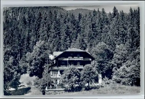 Grindelwald Grindelwald Wald Hotel Bellary x / Grindelwald /Bz. Interlaken