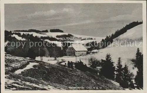 Nessellachen Breitnau Gasthaus  / Breitnau /Breisgau-Hochschwarzwald LKR