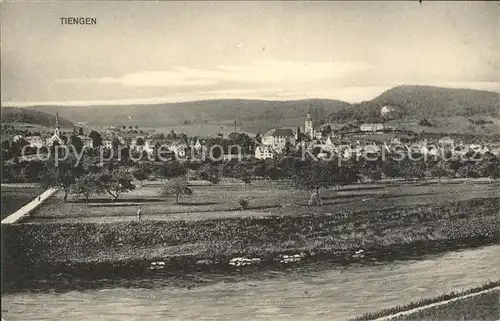 Tiengen Waldshut Panorama / Waldshut Tiengen /Waldshut LKR