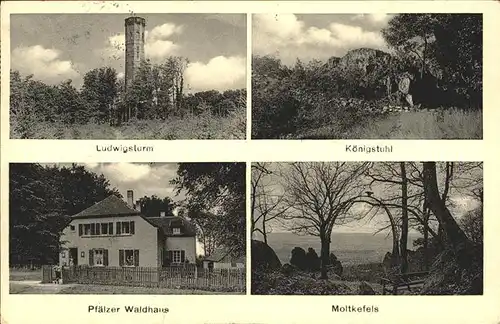 Donnersberg Ludwigsturm Koenigstuhl Molkefels Pfaelzer Waldhaus / Dannenfels /Donnersbergkreis LKR