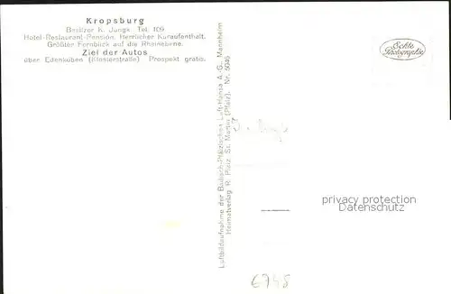 Kropsburg Fliegeraufnahme St. Martin Maxburg  / Neustadt an der Weinstr. /NeuWeinstrasse Stadtkreis