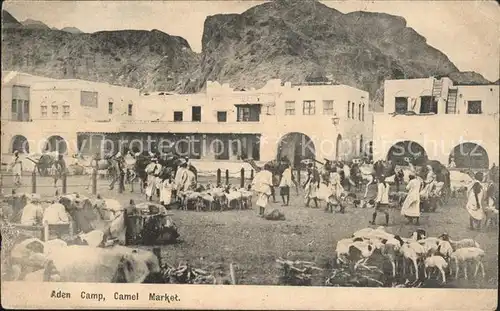 Aden Camp Camel Market / Jemen /