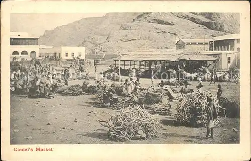 Aden Camel's Market / Jemen /