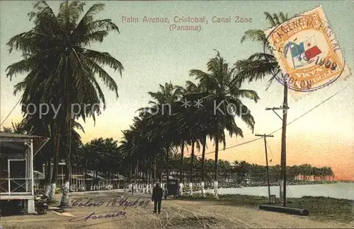 Cristobal Panama Palm Avenue Canal Zone Stempel auf AK / Panama /