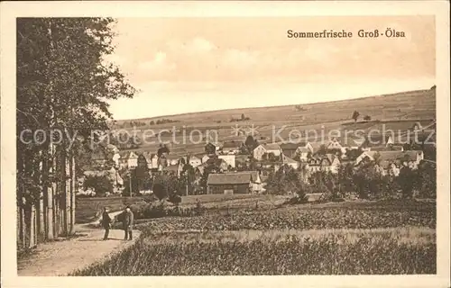 Gross Oelsa Ansicht vom Feldweg aus Sommerfrische / Oelsa Rabenau Sachsen /Saechsische Schweiz-Osterzgebirge LKR