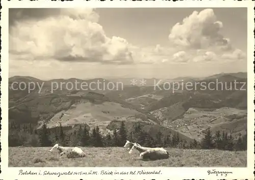 Foto Gutermann Nr. 253 Belchen Schwarzwald Wiesental  / Loerrach /Loerrach LKR