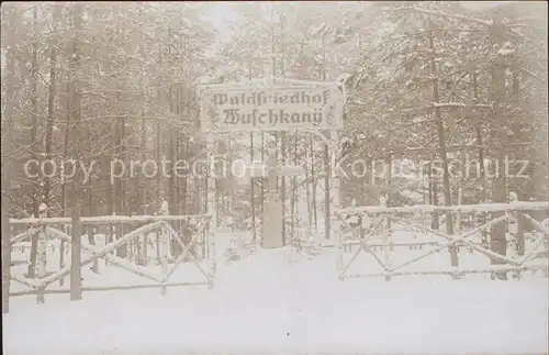 Russland Waldfriedhof Wuschkanue / Russische Foederation /