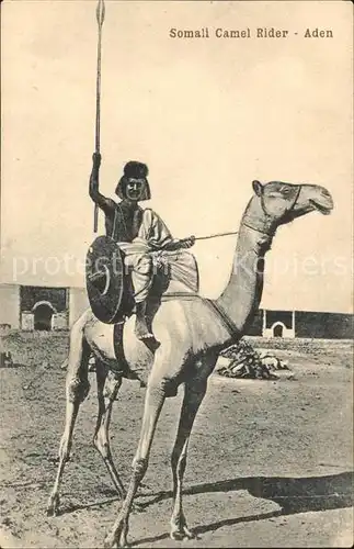 Aden Camel Rider / Jemen /