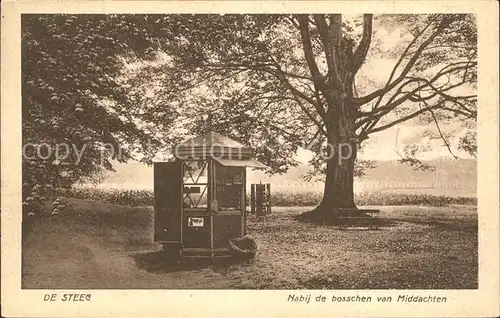 De Steeg Nabij de bosschen van Middachten / Rheden /Gelderland