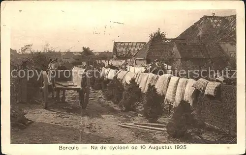 Borculo Na de cycloon / Niederlande /