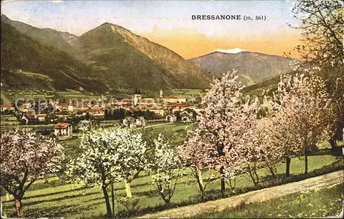 Bressanone Teilansicht mit Kirschblueten / Brixen Suedtirol /