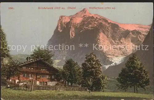 Grindelwald Chalet mit Wetterhorn / Grindelwald /Bz. Interlaken