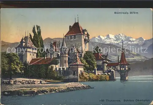 Thunersee Schloss Oberhofen mit Bluemlisalp / Thun /Bz. Thun