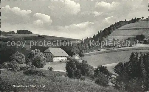 Nessellachen Breitnau Gasthaus Pension zum Roessle / Breitnau /Breisgau-Hochschwarzwald LKR