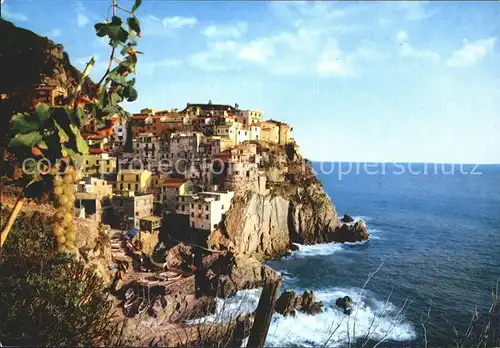 Manarola Stadtansicht / Manarola /La Spezia