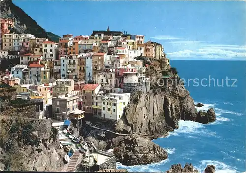 Manarola Stadtansicht / Manarola /La Spezia