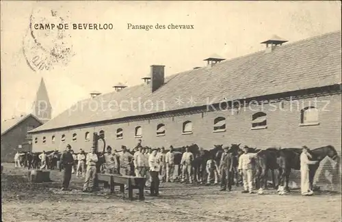Camp de Beverloo Pansage des Chevaux / Belgien /
