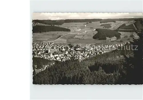 Neustadt Schwarzwald Panorama / Titisee-Neustadt /Breisgau-Hochschwarzwald LKR