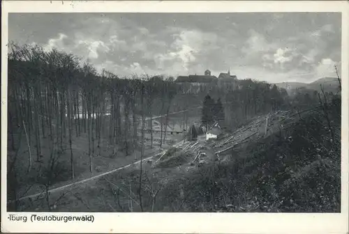 Iburg Teutoburger Wald Waldpartie  Kat. Hoerstel