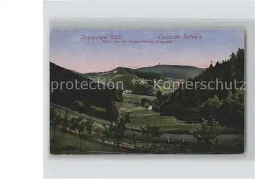 Teutoburgerwald Lippische Schweiz Blick vom Hangstein Kat. Detmold
