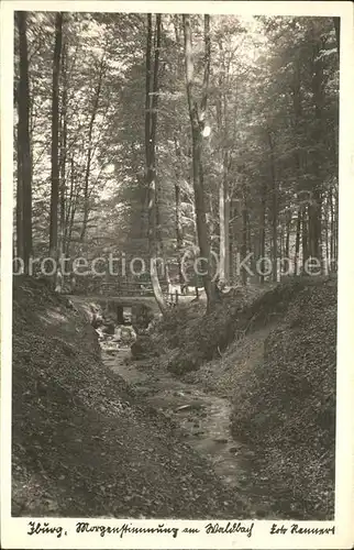 Iburg Teutoburger Wald Waldbach  Kat. Hoerstel