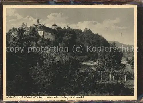Iburg Teutoburger Wald Blick auf Schloss  Kat. Hoerstel