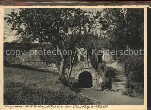 Iburg Teutoburger Wald Burgruine Kat. Hoerstel