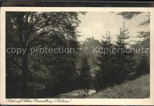 Rammelburg Suedharz  Kat. Mansfeld Suedharz