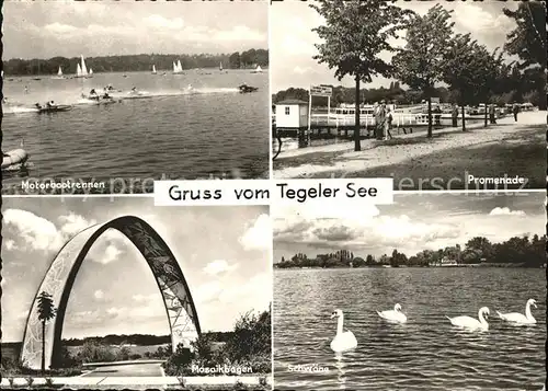 Tegel Tegeler See Motorbootrennen Promenade Schwaene Mosaikbogen / Berlin /Berlin Stadtkreis
