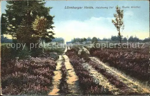 Lueneburger Heide Heideweg bei Grube Wiechel Kat. Walsrode