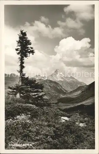 Biberkopf Gebirgspanorama Allgaeuer Alpen Kat. Oberstdorf