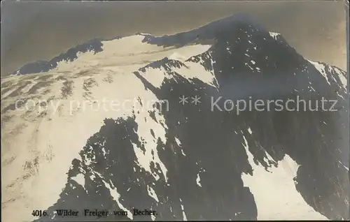 Wilder Freiger Blick vom Becher Stubaier Alpen