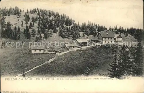 Maria Schutz Niederoesterreich Friedrich Schueler Alpenhotel mit Sonnwendsteingipfel Kat. Goestritz