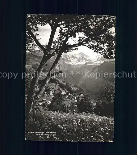 Wengen BE Panorama mit Breithorn Tschingelhorn Berner Alpen Kat. Wengen
