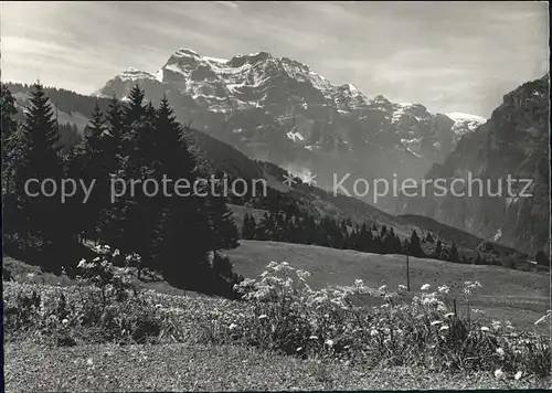 Mullern Panorama gegen Glaernischkette Kat. Mollis