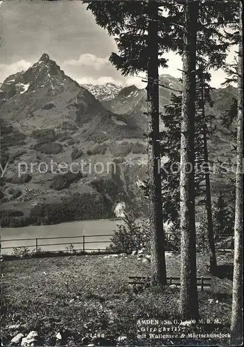 Amden SG Giregaertli mit Walensee und Muertschenstock Kat. Amden