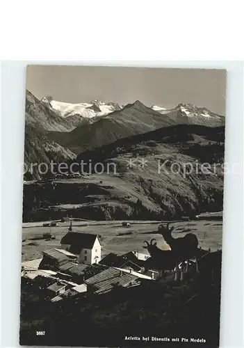 Acletta Disentis GR Panorama mit Piz Medel Adula Alpen Bergziegen / Disentis /Bz. Surselva