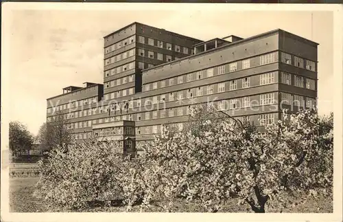 Gartenstadt Ludwigshafen St Marienkrankenhaus Baumbluete