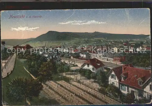 Neustadt Haardt Panorama Kat. Neustadt an der Weinstr.