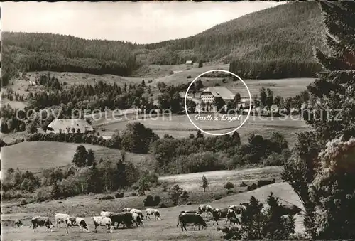 Alpersbach Gasthaus Pension zum Engel