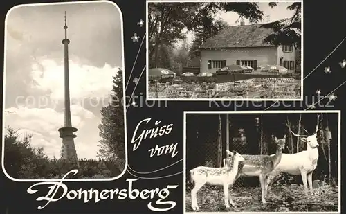 Donnersberg Waldhaus Fernsehturm Wild Kat. Dannenfels