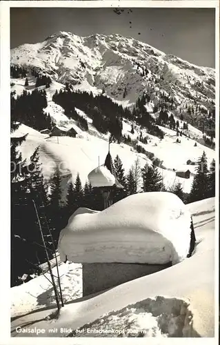 Gaisalpe mit Blick auf Entschenkopf