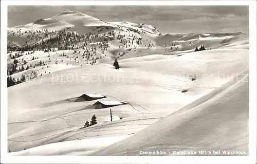 Winklmoos Winkelmoos Kammerkoehr Steinplatte / Reit im Winkl /Traunstein LKR