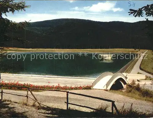 Innerstetalsperre Talsperre Staumauer / Langelsheim /Goslar LKR