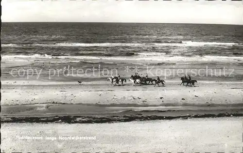 Noordwijk aan Zee  Pferde am Strand Kat. Noordwijk