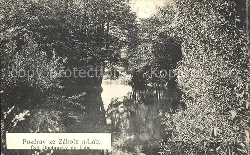 Tschechische Republik Waldsee Kat. Tschechische Republik