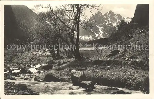 Foto Zeitz F.G. Nr. 226 Wimbachtal Palfenhoerner  Kat. Berchtesgaden